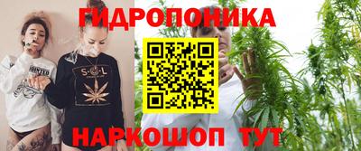 apvp Лесосибирск